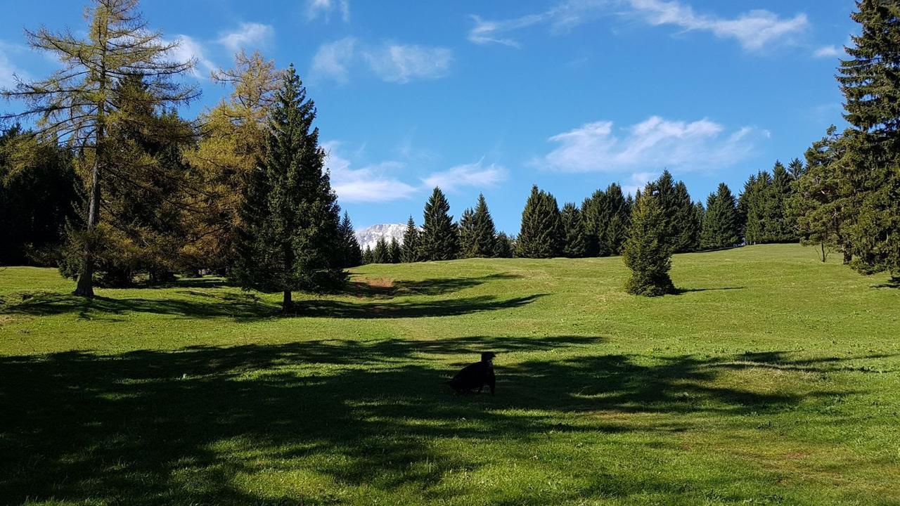 Ferienwohnungen Mamauwiese Gutenstein Exterior foto